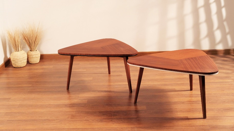 Article for misha's furniture